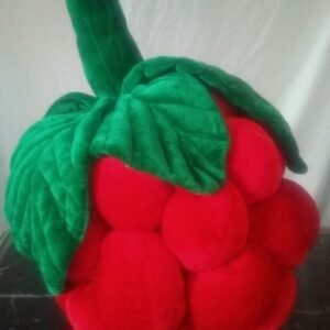 Raspberry Comfort Pillow Set 6 Pieces