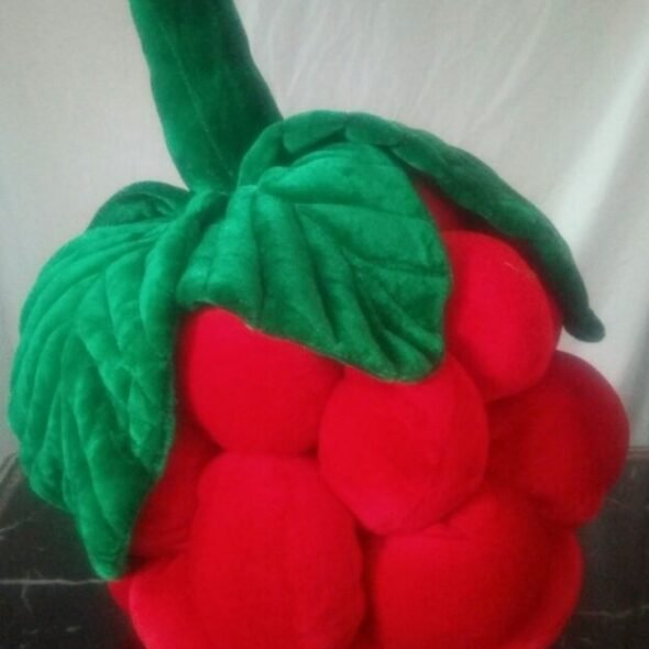 Raspberry Comfort Pillow Set 6 Pieces