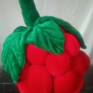 Raspberry Comfort Pillow Set 6 Pieces