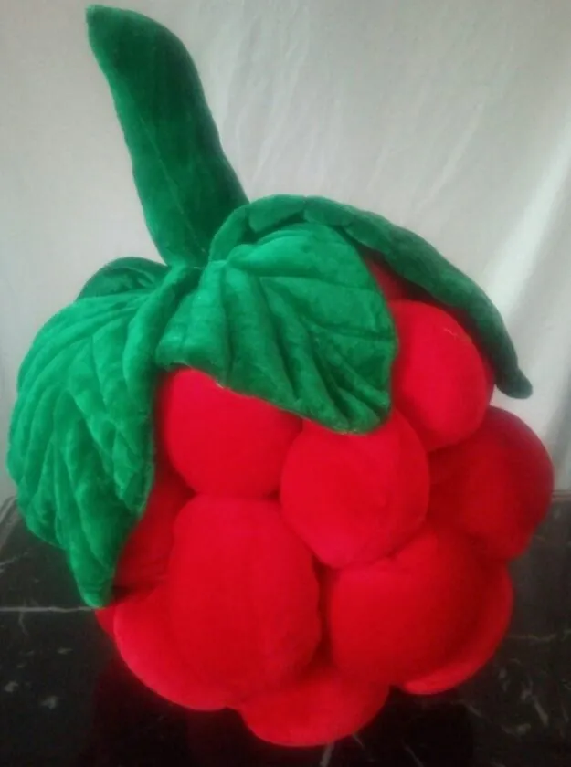 Raspberry Comfort Pillow Set 6 Pieces